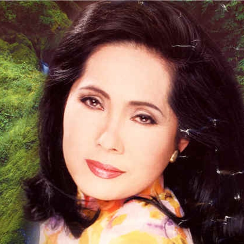 Phương Dung - Hoa Nở Về Đêm