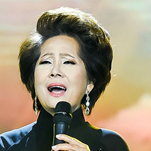 ĐỒI THÔNG HAI MỘ || PHƯƠNG DUNG