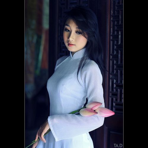 Đan Nguyên Những Bài Nhạc Vàng Nhạc Lính Nhạc Bolero Hay Nhất