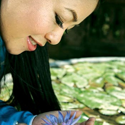 Nắng Ấm Quê Hương Anh Thơ