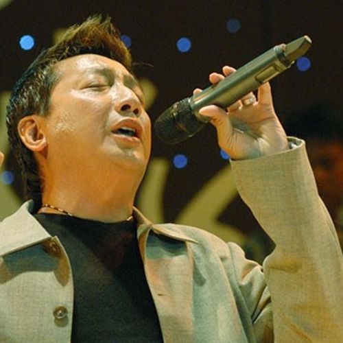 Nhạc Vàng Hải Ngoại Xưa Bất Hủ Hay Nhất Trường Vũ