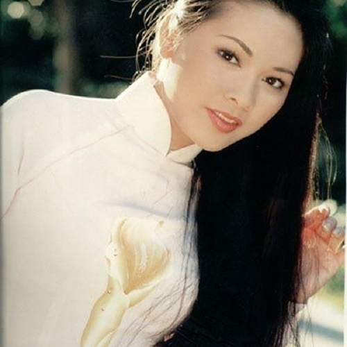 Nhạc Vàng Chọn Lọc Hay Nhất Hoa Tím Người Xưa Như Quỳnh