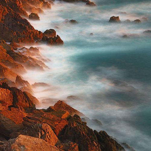 Hoa Học Trò - Nhật Trường