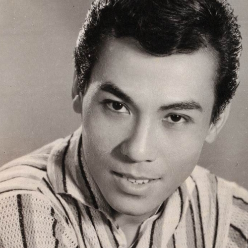 HÙNG CƯỜNG - Mộng Dưới Hoa Và Nắng Chiều - Acoustic