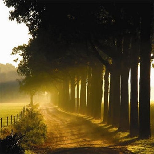 Hương Tóc Mạ Non - Quang Bình , Trang Thanh Lan