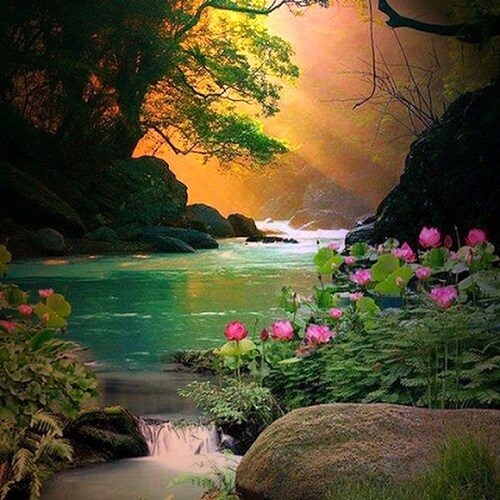 Kiếp Nghèo | Đăng Vũ - Trang Thanh Lan